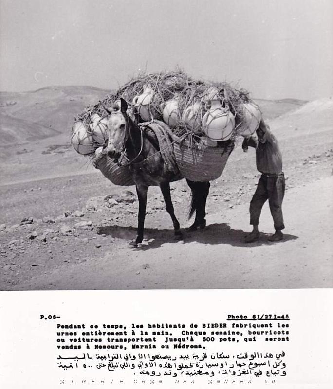 Algerie propagande 076.jpg